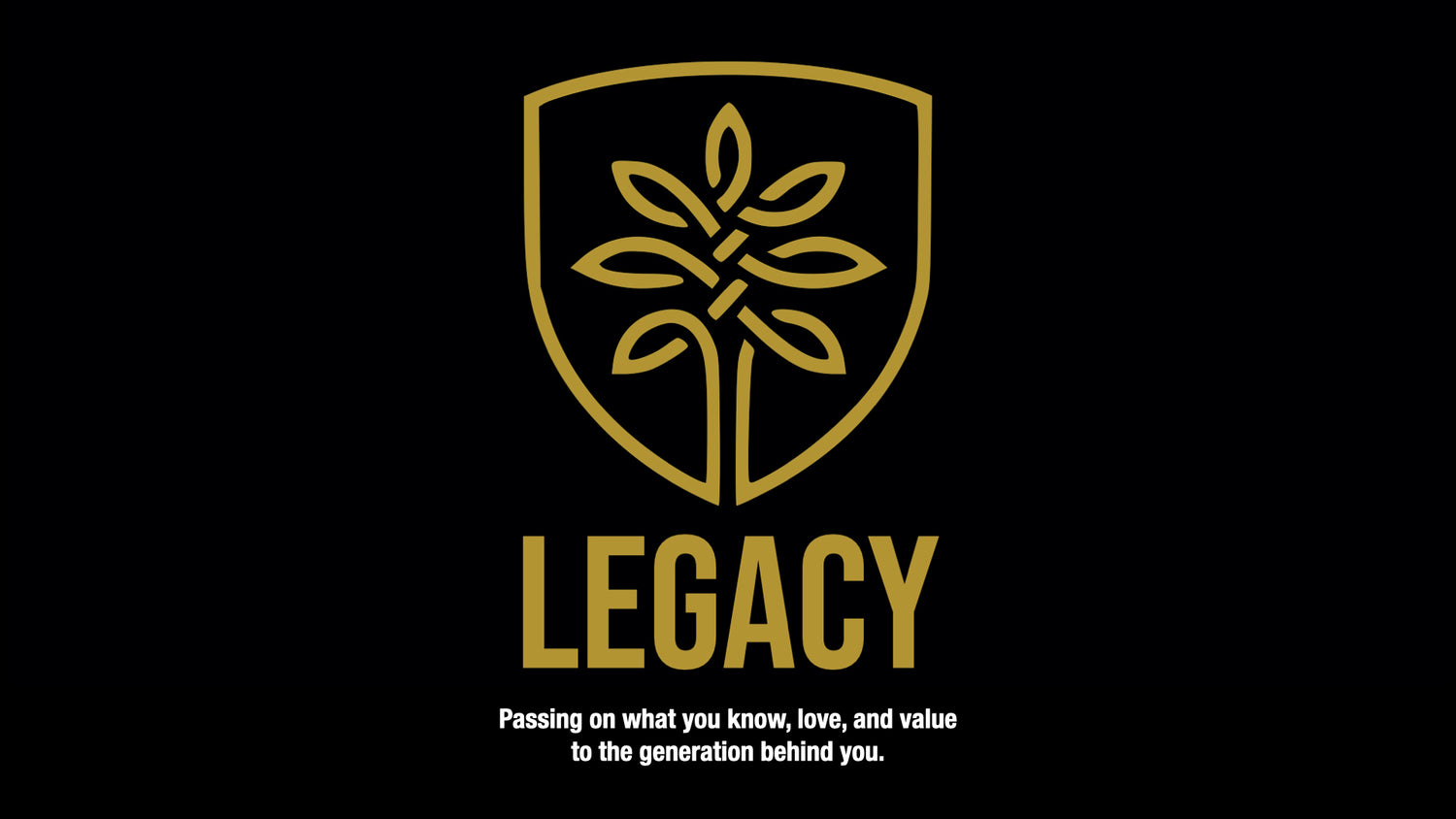 Legacy Workbooks