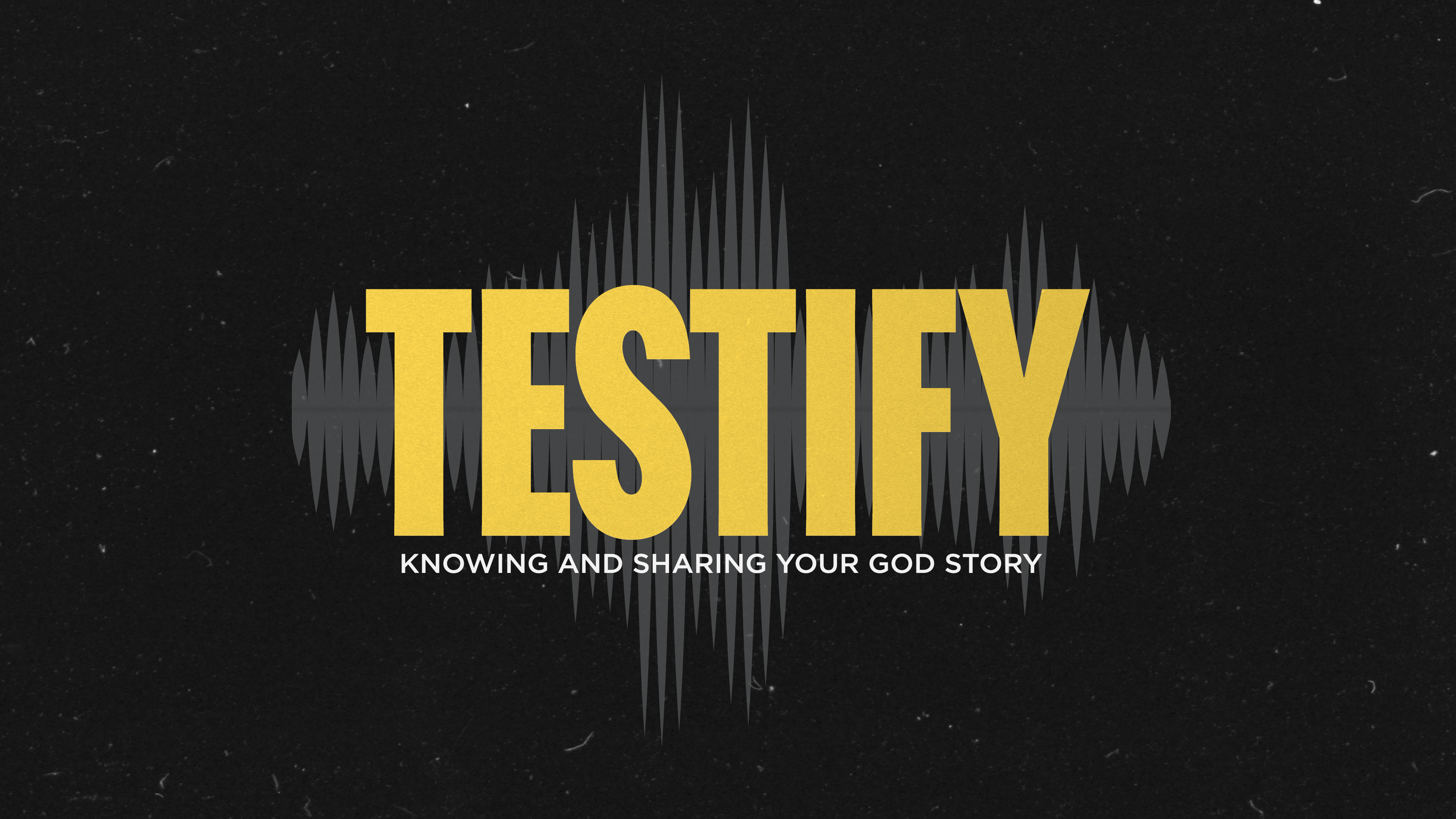 Testify Book Testify Workbooks – MANUP